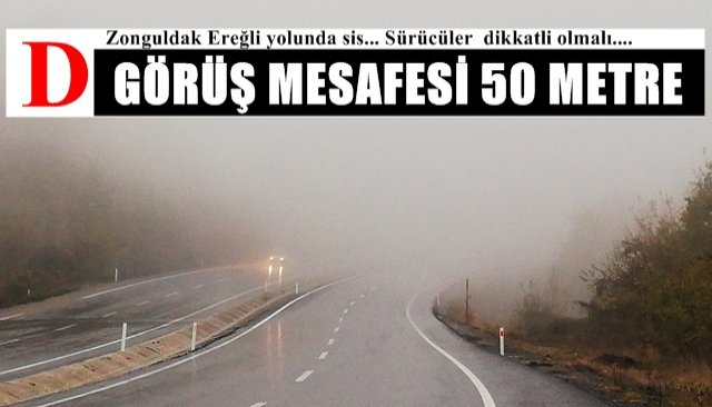 Zonguldak Ereğli yolunda sis