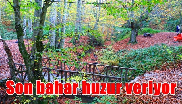 Zonguldak’ta son bahar renkleri