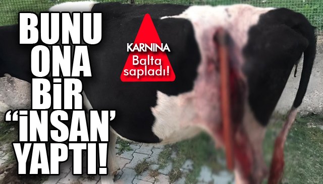GERÇEKTEN ARTIK YUHH!