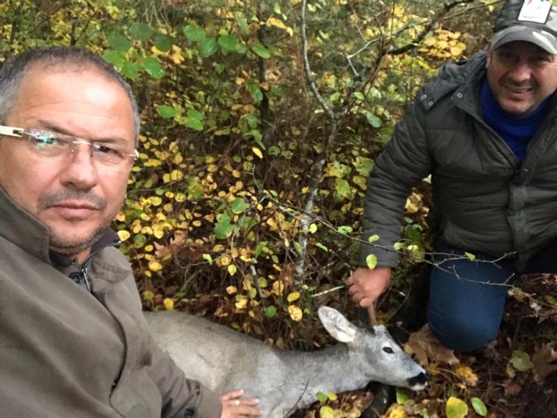 KÖPEKLERLER SALDIRDI  - 1