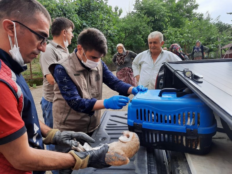  Bir aydır banyo boşluğunda kalıyorlardı - 1