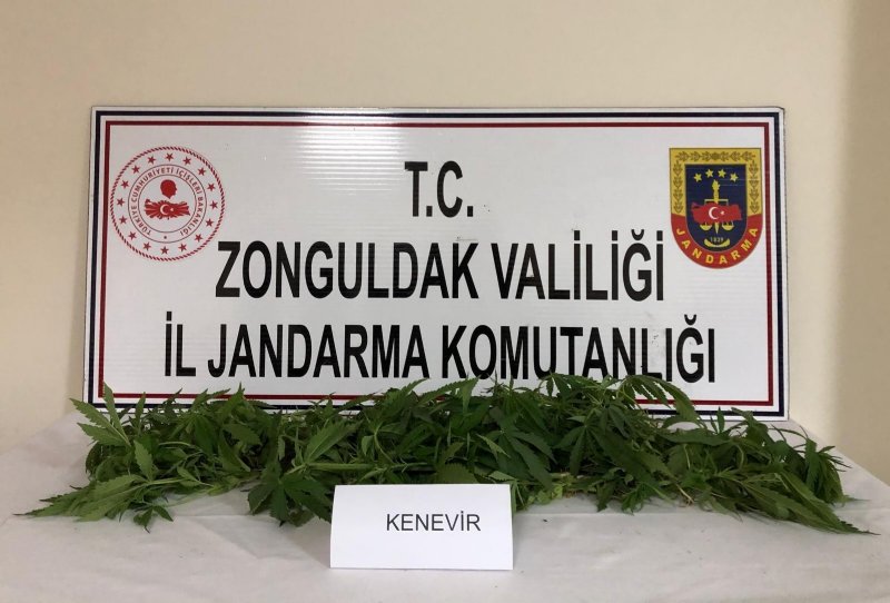 Jandarma Ereğli ve Alaplı’da 3 kişiyi gözaltına aldı… UYUŞTURUCU BASKINLARI SÜRÜYOR - 2