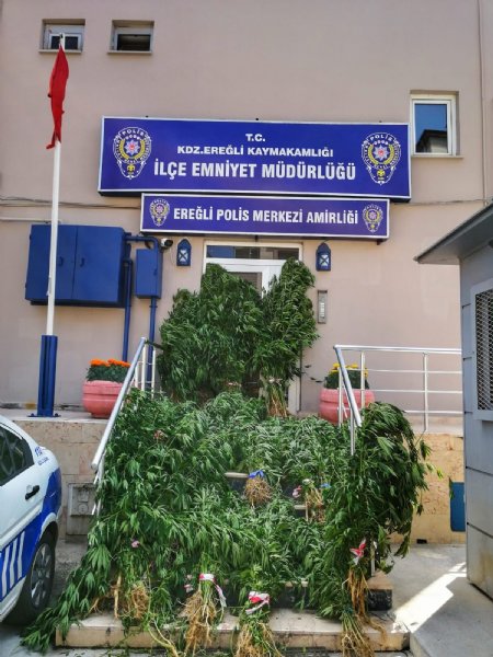 Narkotik polisinden uyuşturucu operasyonu - 2