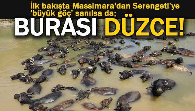BUNALAN MANDALAR NEHİRDE SERİNLEDİ