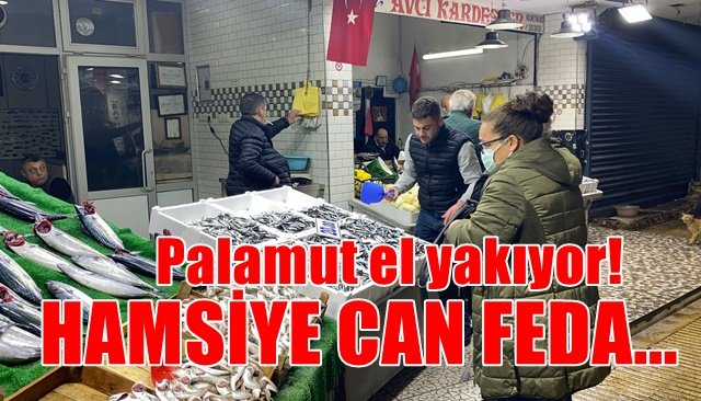 Palamut el yakıyor