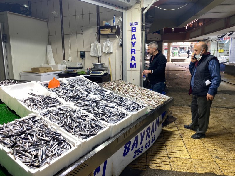 Palamut el yakıyor    - 2