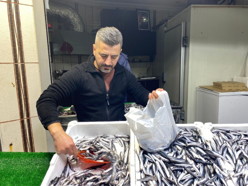 Palamut el yakıyor    - 6