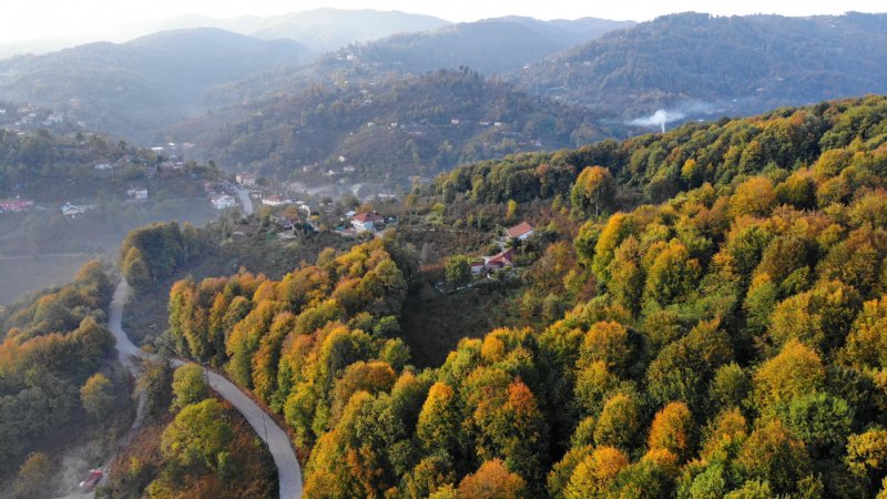 Zonguldak’ta güz sabahı - 3