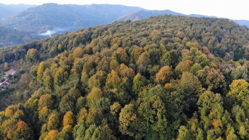 Zonguldak’ta güz sabahı - 6