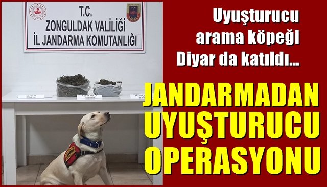 Jandarmadan uyuşturucu operasyonu