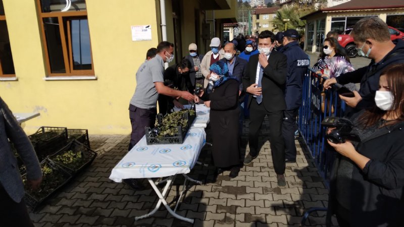 Karadeniz Ereğli’de üreticilere Osmanlı Çileği fidesi dağıtıldı - 1