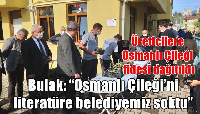 Karadeniz Ereğli’de üreticilere Osmanlı Çileği fidesi dağıtıldı