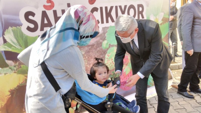 Karadeniz Ereğli’de üreticilere Osmanlı Çileği fidesi dağıtıldı - 4