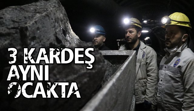 3 KARDEŞ AYNI OCAKTA…