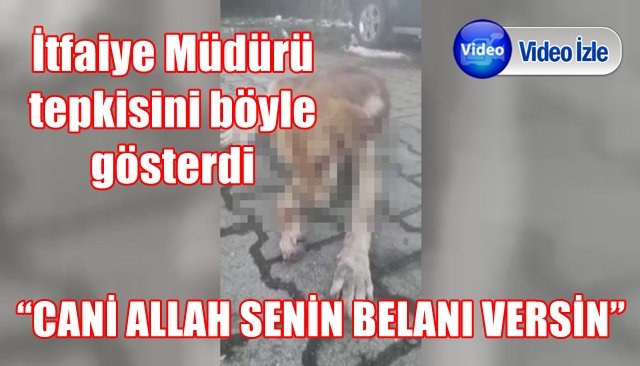 “CANİ ALLAH SENİN BELANI VERSİN”