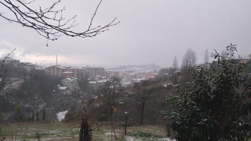 ÇARŞI FELÇ! - 4