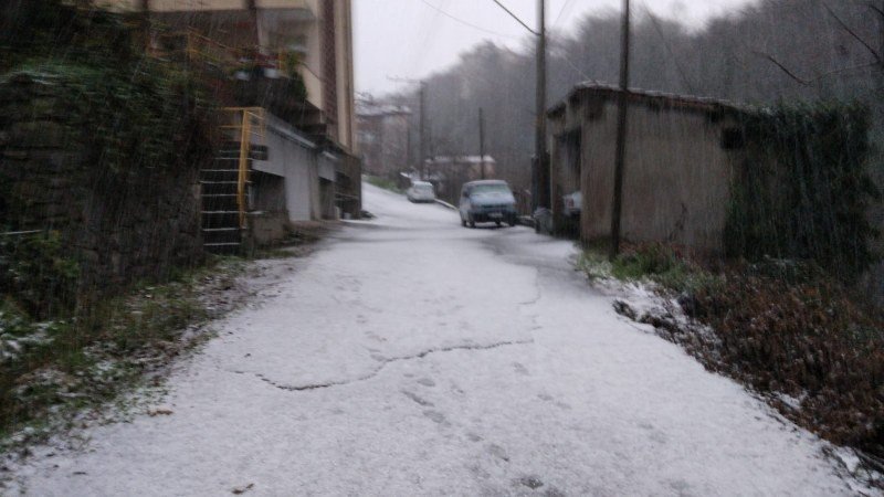 ÇARŞI FELÇ! - 5