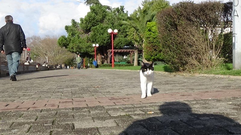 SAHİLDE “SOKAK ÇOCUĞU” OLMAK… - 1