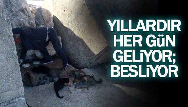 HER GÜN 10 KEDİNİN YİYECEK İHTİYACINI KARŞILIYOR 
