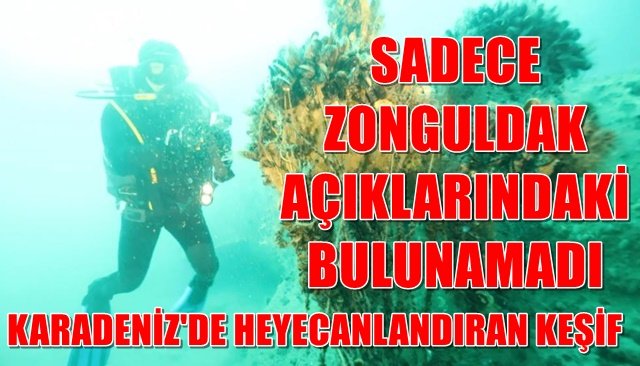 KARADENİZ´DE HEYECANLANDIRAN KEŞİF