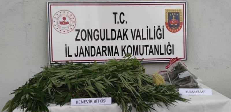 Kdz Ereğli Elmacı Köyü… Jandarma yakaladı... KENEVİR VE ESRAR ELE GEÇİRİLDİ - 1