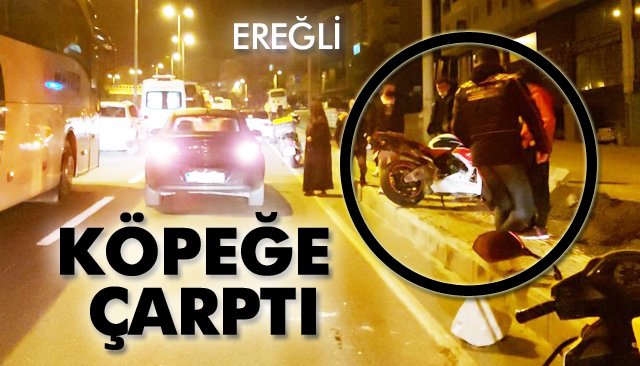 KÖPEĞE ÇARPTI