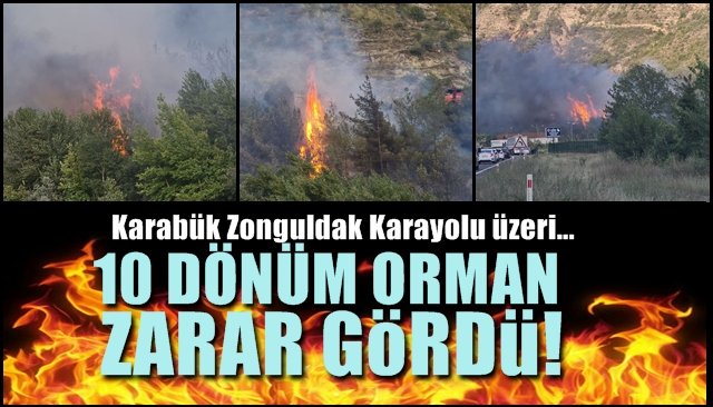 Karabük-Zonguldak karayolu… 10 DÖNÜM ORMAN ZARAR GÖRDÜ