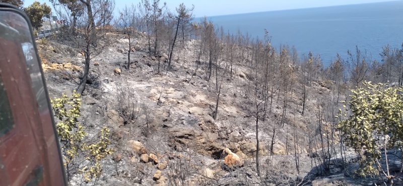 Zonguldak Orman Bölge Müdürlüğü, afet bölgesine 100 kişi ile yardıma koştu… ORMANCI SİPER OLDU - 7