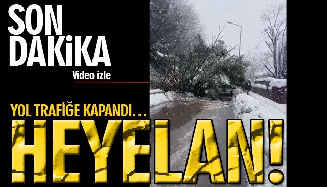 ÇATALAĞZI´NDA HEYELAN! YOL TRAFİĞE KAPANDI…
