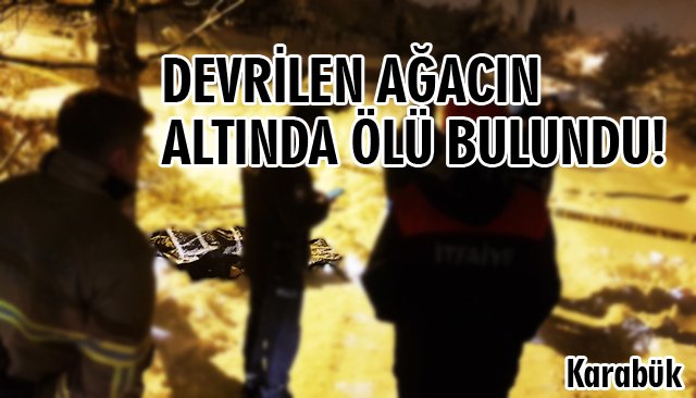 DEVRİLEN AĞACIN ALTINDA ÖLÜ BULUNDU! 