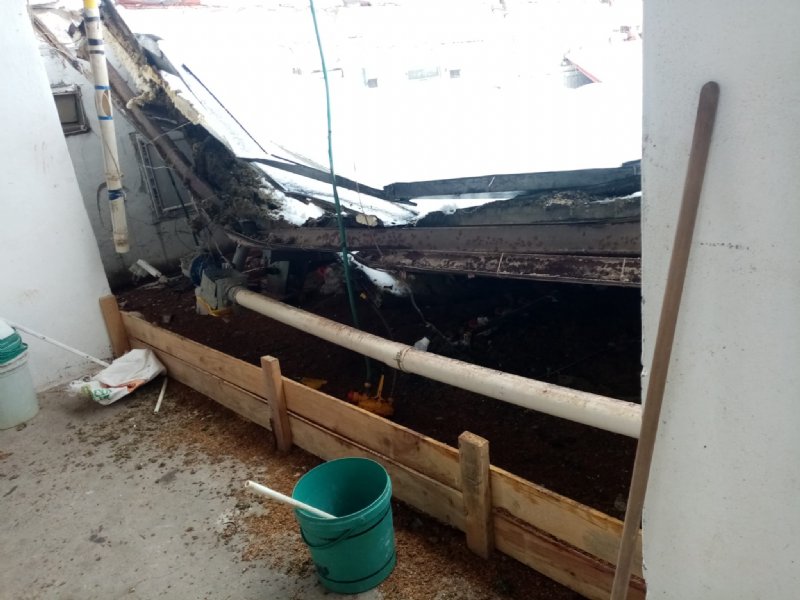  Kara dayanamayan çiftlik çatısı çöktü: 18 bine yakın tavuk telef oldu - 6