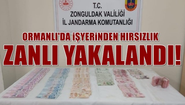 ORMANLI’DA HIRSIZLIK…. ZANLILAR YAKALANDI!