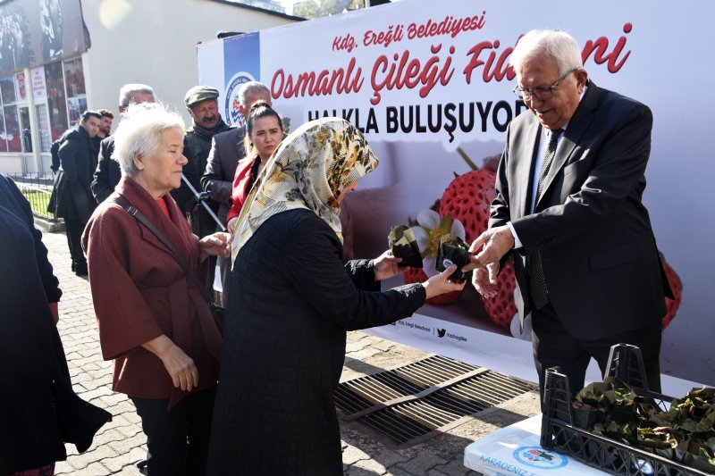 HALKA OSMANLI ÇİLEĞİ FİDESİ VERİLDİ - 2