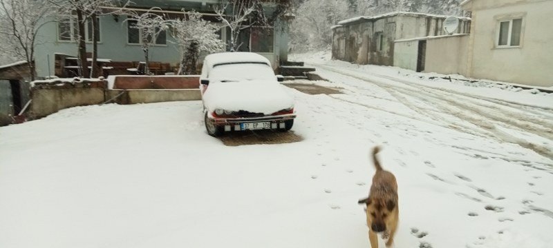 KASTAMONU’DA KAR YAĞIŞI ETKİLİ OLUYOR - 2