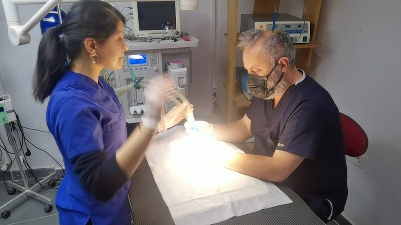 MUHABBET KUŞUNA SEZARYEN YAPILDI!  - 3