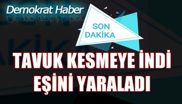 TAVUK KESMEYE İNDİ EŞİNİ YARALADI