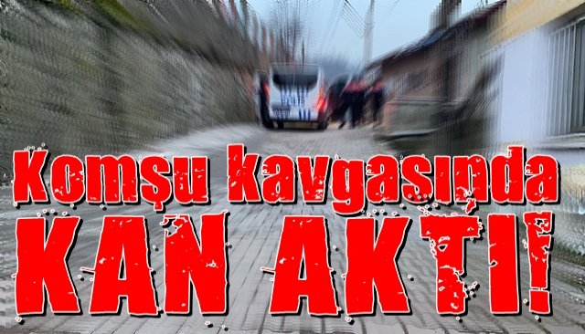 Komşu kavgasında kan aktı! 