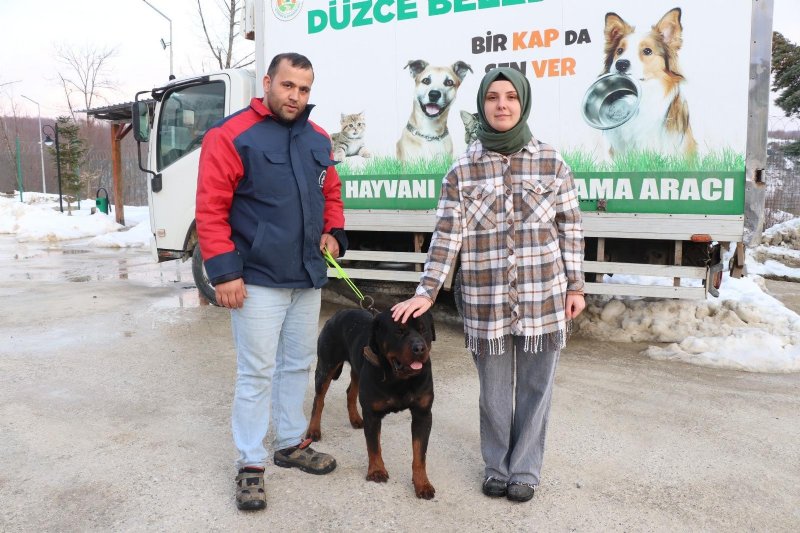 Sahibinden şiddet gören köpek… YENİ YUVASINDA - 2