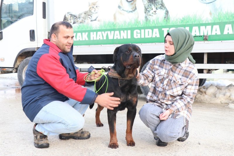 Sahibinden şiddet gören köpek… YENİ YUVASINDA - 3