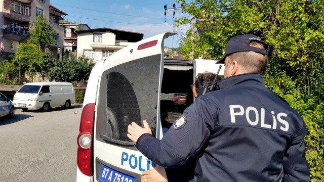 ÇOK AGRESİF HAREKETLER BUNLAR - 14