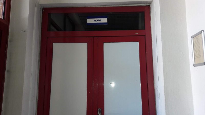 Ihlamur ağacından düştü… HAYATINI KAYBETTİ  - 2