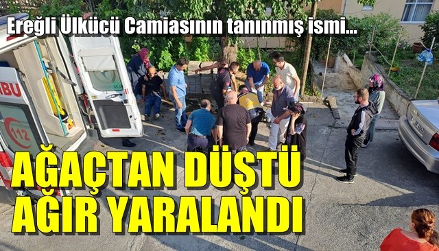 AĞAÇTAN DÜŞTÜ, AĞIR YARALANDI