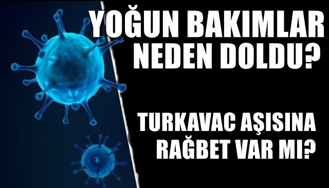 YOĞUN BAKIMLAR NEDEN DOLDU?  TURKOVAC AŞISINDA SON DURUM…