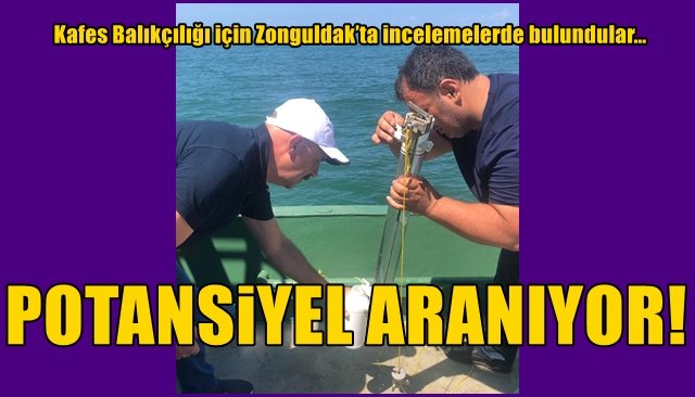 Kafes Balıkçılığı için Zonguldak’ta incelemelerde bulundular… POTANSİYEL ARIYORLAR