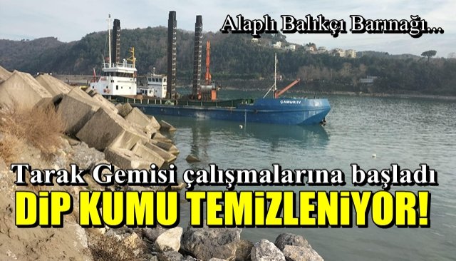 Alaplı’da tarak gemisi çalışmalara başladı…  DİP KUMU TEMİZLENİYOR