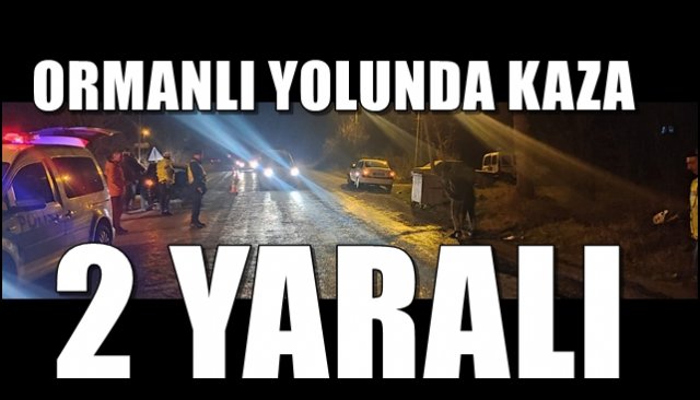 Ormanlı yolunda kaza… 2 Yaralı