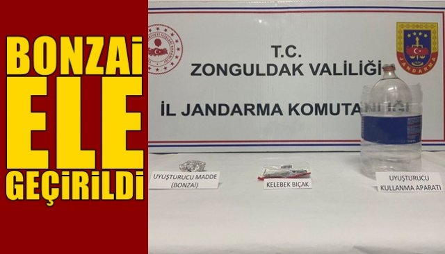 BONZAİ ELE GEÇİRİLDİ