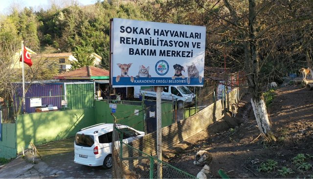 DÜNYA HAYVANLARI KORUMA GÜNÜ