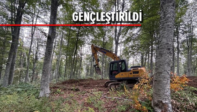 HEKTARLARCA GENÇLEŞTİRİLDİ