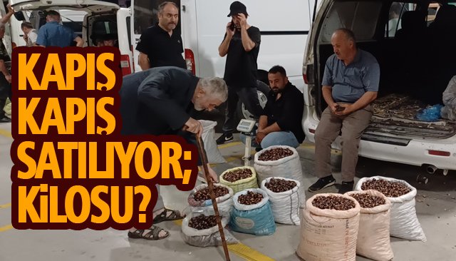 KAPIŞ KAPIŞ SATILIYOR; KİLOSU?